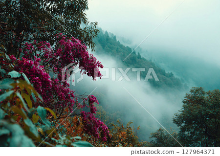 colorful foliage through dense white mist, fantasy forest background, magical atmosphere 127964371
