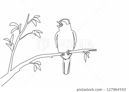 Continuous one line drawing blackcap bird perched on tree branch with leaves. Cold weather resistant birds. The songbird. International Dawn Chorus Day. Single line draw design vector illustration 127964593