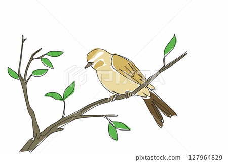 Single continuous line drawing willow warblers perched on tree branches. The inconspicuous chirp. Sweet chirps in garden. Songbird. International Dawn Chorus Day. One line design vector illustration 127964829