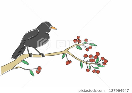 Single continuous line drawing blackbird perched on tree branch with leaves and small fruits. Brighten up the morning with chirping. International Dawn Chorus Day. One line design vector illustration 127964947