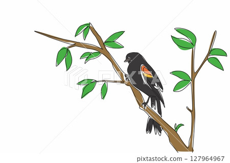 Single continuous line drawing red winged blackbird perched on a tree branch with leaves. Beautiful hairy. Bright morning atmosphere. International Dawn Chorus Day. One line design vector illustration Single continuous line drawing red winged blackbird perched on a tree branch with leaves. Beautiful hairy. Bright morning atmosphere. International Dawn Chorus Day. One line design vector illustration 127964967