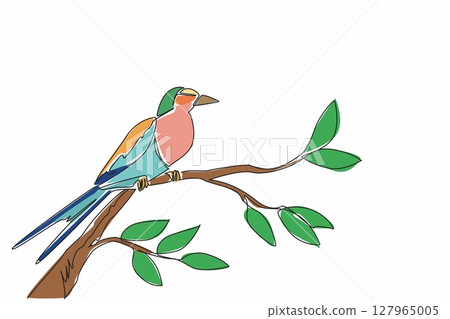Single continuous line drawing lilac breasted roller perched on a branch with leaves. Beautiful bird with special adaptation style. International Dawn Chorus Day. One line design vector illustration 127965005