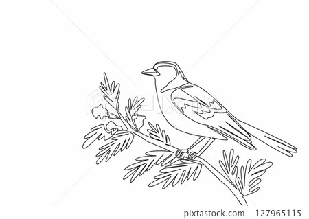 Single one line drawing chaffinch bird perched on a tree branch with leaves and flowers. Birds symbol of happiness. Songbird. International Dawn Chorus Day. Continuous line design graphic illustration Single one line drawing chaffinch bird perched on a tree branch with leaves and flowers. Birds symbol of happiness. Songbird. International Dawn Chorus Day. Continuous line design graphic illustration 127965115