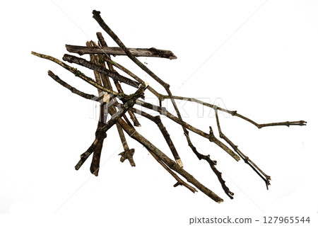 Small natural fallen tree twigs sticks and branches on a white background Small natural fallen tree twigs sticks and branches on a white background 127965544