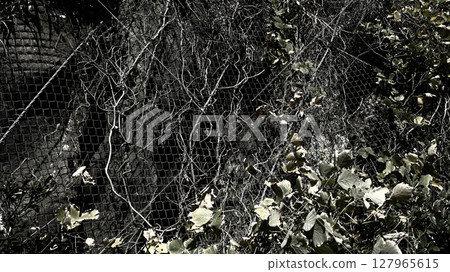 Rock fall protection network Rock fall protection network 127965615