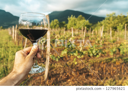 Hand Holding Red Wine Glass in Vineyard on a Summer Day 127965621