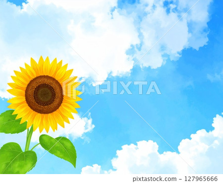 向日葵、藍天和白雲插畫背景素材 127965666