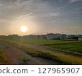 住宅區和稻田的輪廓延伸到一條碎石路的後面，白三葉草在午後的陽光下盛開。 127965907