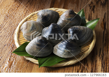 Honbinos shellfish 127966163