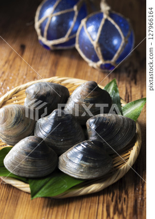 Honbinos貝類 127966164