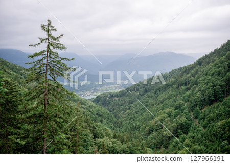 Scenic view of lush green valley and mountain village in the Austrian Alps under cloudy sky 127966191