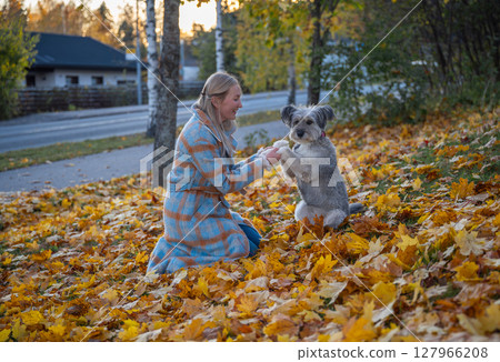 Smiling woman in coat with her mixed-breed dog enjoying autumn leaves in a park Smiling woman in coat with her mixed-breed dog enjoying autumn leaves in a park 127966208