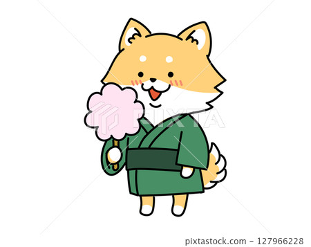 夏日祭典！穿著浴衣吃棉花糖的柴犬 127966228