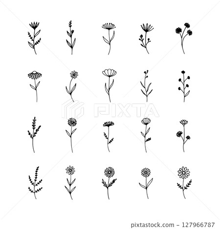 Circular Bloom Motif. Circular floral bloom with balanced petal symmetry and modern stylization, great for decorative or logo use. 127966787