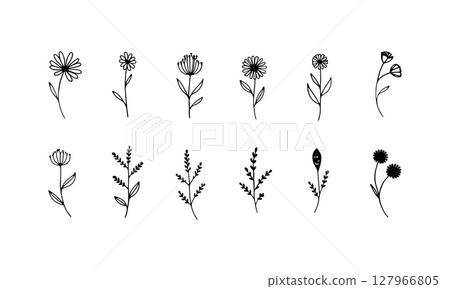 Stylized Flower Heads. Clean line illustrations of stylized flower heads and leaves arranged in a light, airy pattern. 127966805
