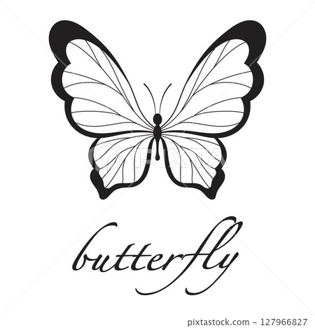 butterfly card in contour 127966827