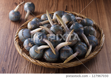 Kyoto vegetable burdock 127967030