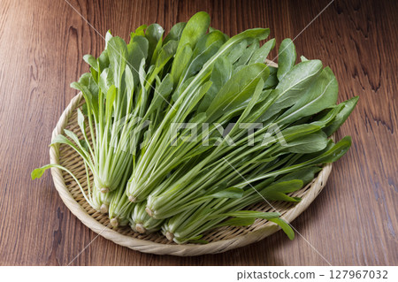 京都蔬菜壬生菜 京都蔬菜壬生菜 127967032