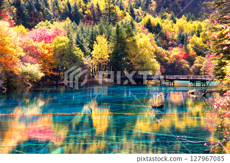 九寨溝美麗的秋色 九寨溝美麗的秋色 127967085