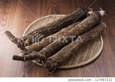 京都蔬菜堀川牛蒡 127967152