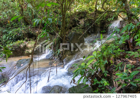 Small river and waterfall in Tentena rainforest, Sulawesi, Indonesia Small river and waterfall in Tentena rainforest, Sulawesi, Indonesia 127967405