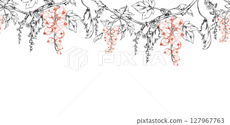 Currant gooseberry with long flower clusters on branch, leaves, hanging ripe garden casseille berry jostaberry. Isolated seamless banner border garland hand drawn in vector ink. Menu, farmers market 127967763