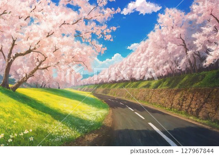 Road with cherry blossoms 127967844