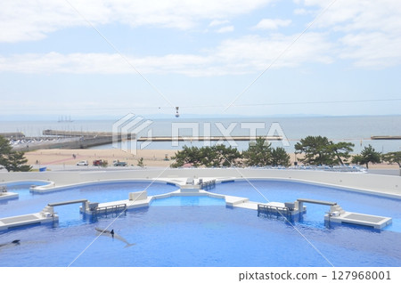 神戶須磨海洋世界 127968001