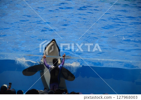 Kobe Suma Sea World 127968003