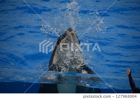 Kobe Suma Sea World 127968004