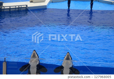 Kobe Suma Sea World 127968005