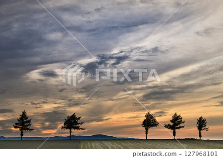 Hill of fairy tale 127968101