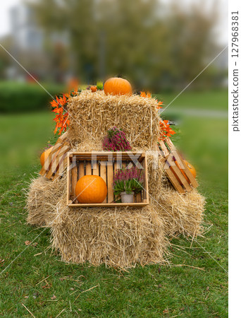 Pumpkins Halloween Decoration, Squash Farm, Orange Thanksgiving Vegetables Pile on Grass, Autumn Loan 127968381