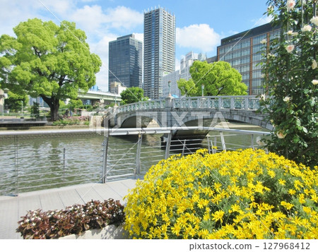 中之島公園的春花 127968412