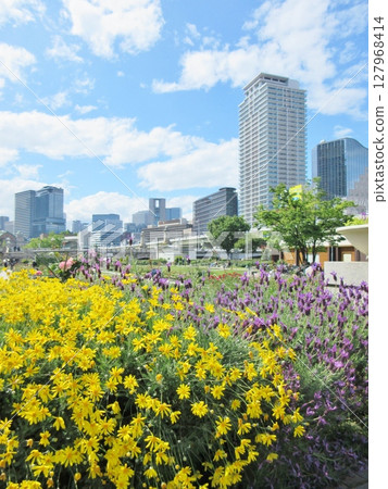 中之島公園的春花 127968414