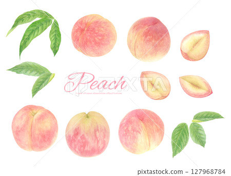 一組用水彩繪製的桃子逼真光柵插圖 127968784