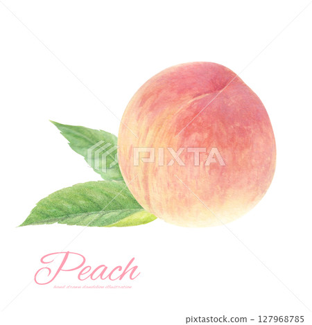 水彩畫的多汁桃子卡通畫 水彩畫的多汁桃子卡通畫 127968785