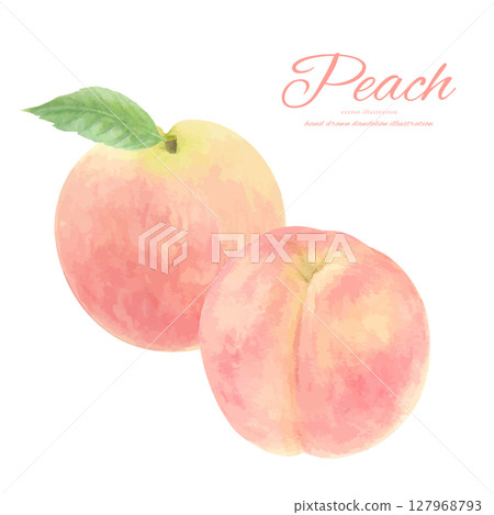 水彩畫的多汁桃子卡通畫 127968793