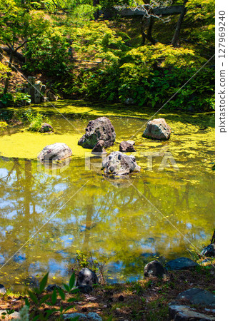 [Kyoto scenery] Maruyama Park Gourd Pond - A soothing view of the dog-faced stone 127969240