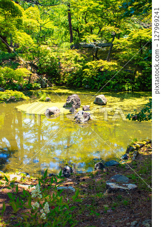 [Kyoto scenery] Maruyama Park Gourd Pond - A soothing view of the dog-faced stone 127969241
