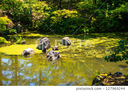 [京都風景] 圓山公園葫蘆池 - 狗臉石的舒緩景色 127969244