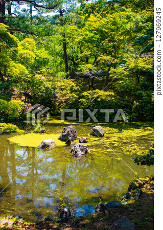 [Kyoto scenery] Maruyama Park Gourd Pond - A soothing view of the dog-faced stone 127969245