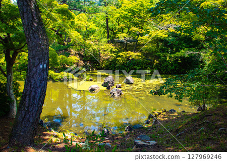 [Kyoto scenery] Maruyama Park Gourd Pond - A soothing view of the dog-faced stone 127969246
