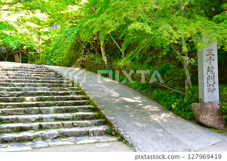 Kyoto Ohara Sanzen-in Temple Kyoto Ohara Sanzen-in Temple 127969419