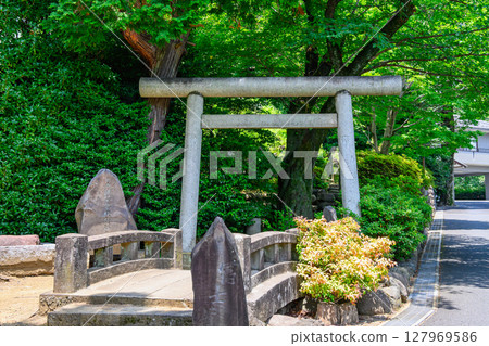 Otowa Fuji (Fujizuka) at Gokokuji Temple, Tokyo 127969586