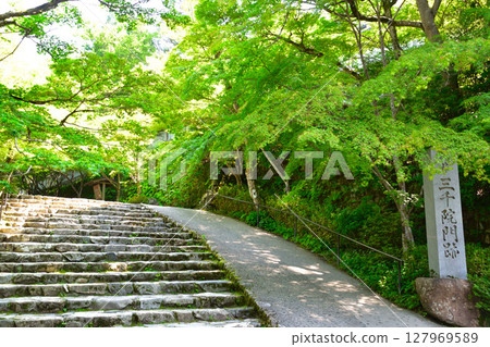 Kyoto Ohara Sanzen-in Temple 127969589