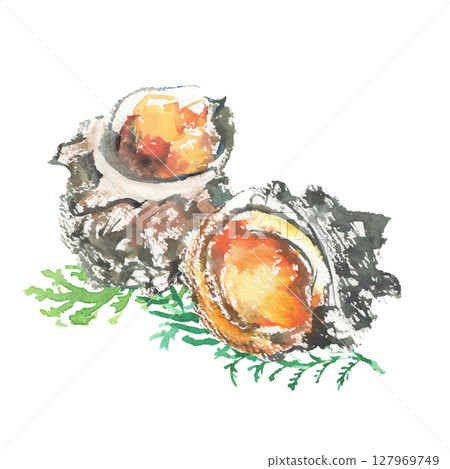 烤海螺殼的水彩插圖 - 一道帶有海藻風味的美味海鮮菜 127969749