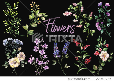 Watercolor flowers set hand painted floral elements isolated on black background Watercolor flowers set hand painted floral elements isolated on black background 127969786