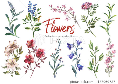 Watercolor flowers set hand painted floral elements isolated on white background Watercolor flowers set hand painted floral elements isolated on white background 127969787