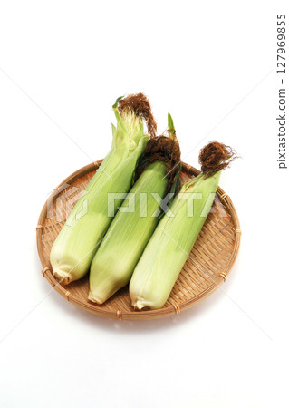 Fresh corn 127969855
